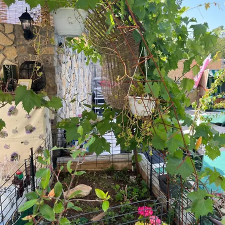 Zak Apartman Pridraga