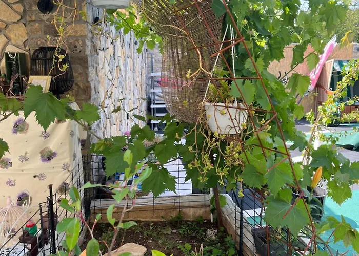 Zak Апартаменты Pridraga